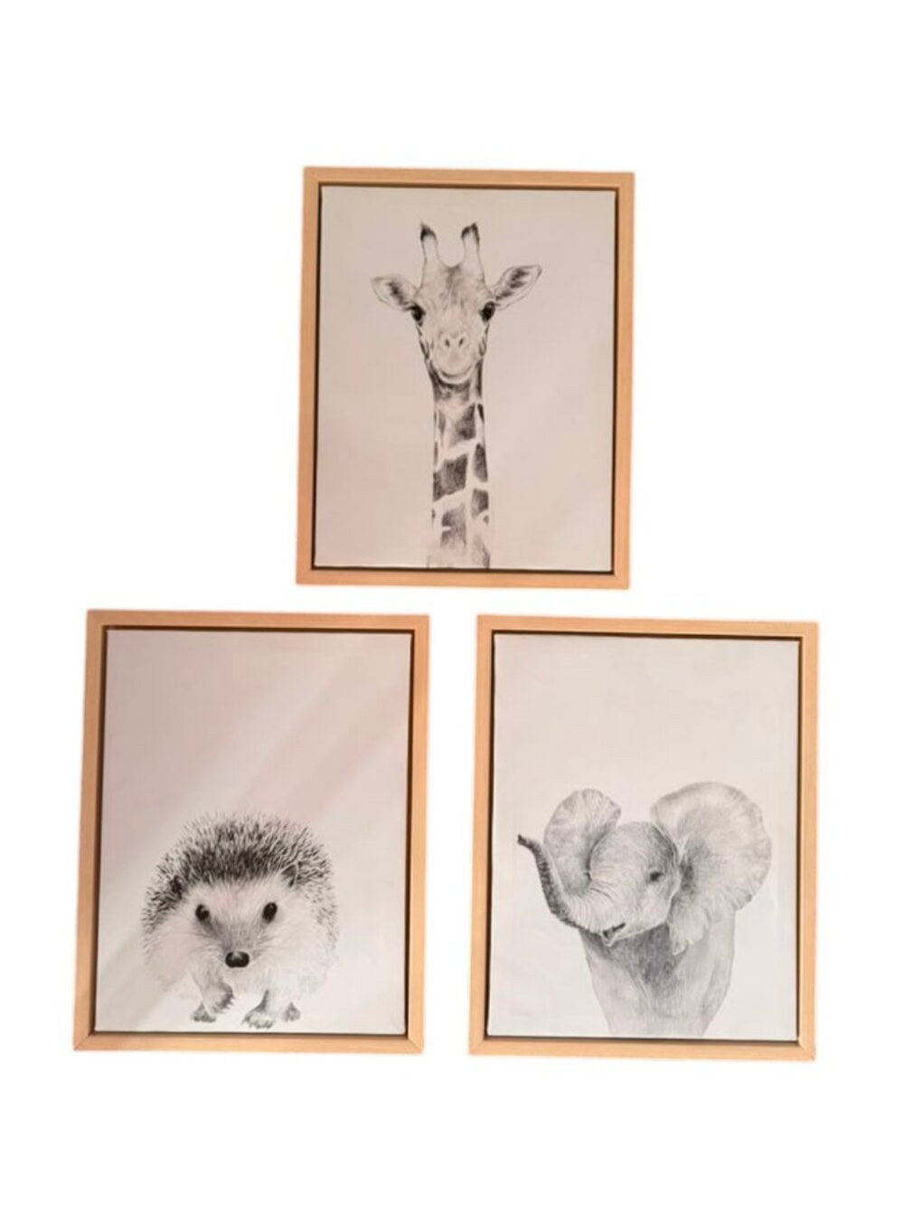 Baby Animal Framed Canvas Wall Art Set Elephant Giraffe Hedgehog 11x14 - Picture 3 of 13